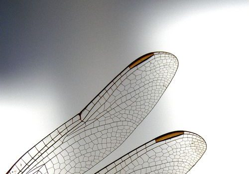 a5bd8f5adc648175b8e436e841e82499